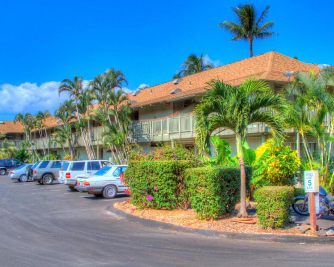 Kihei Bay Surf 130- Garden View Studio, Free Parking 외부 사진