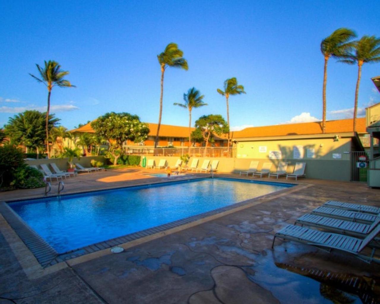 Kihei Bay Surf 130- Garden View Studio, Free Parking 외부 사진